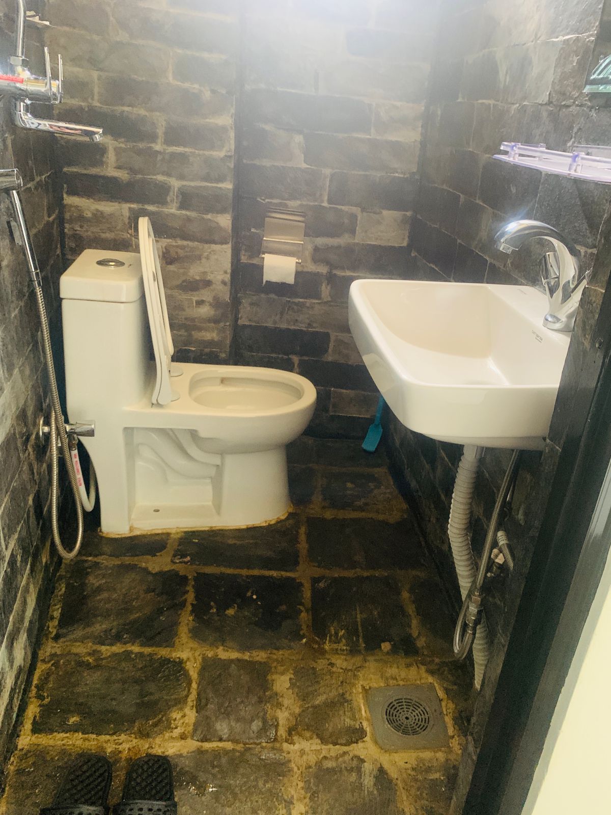 Family Room Toilet